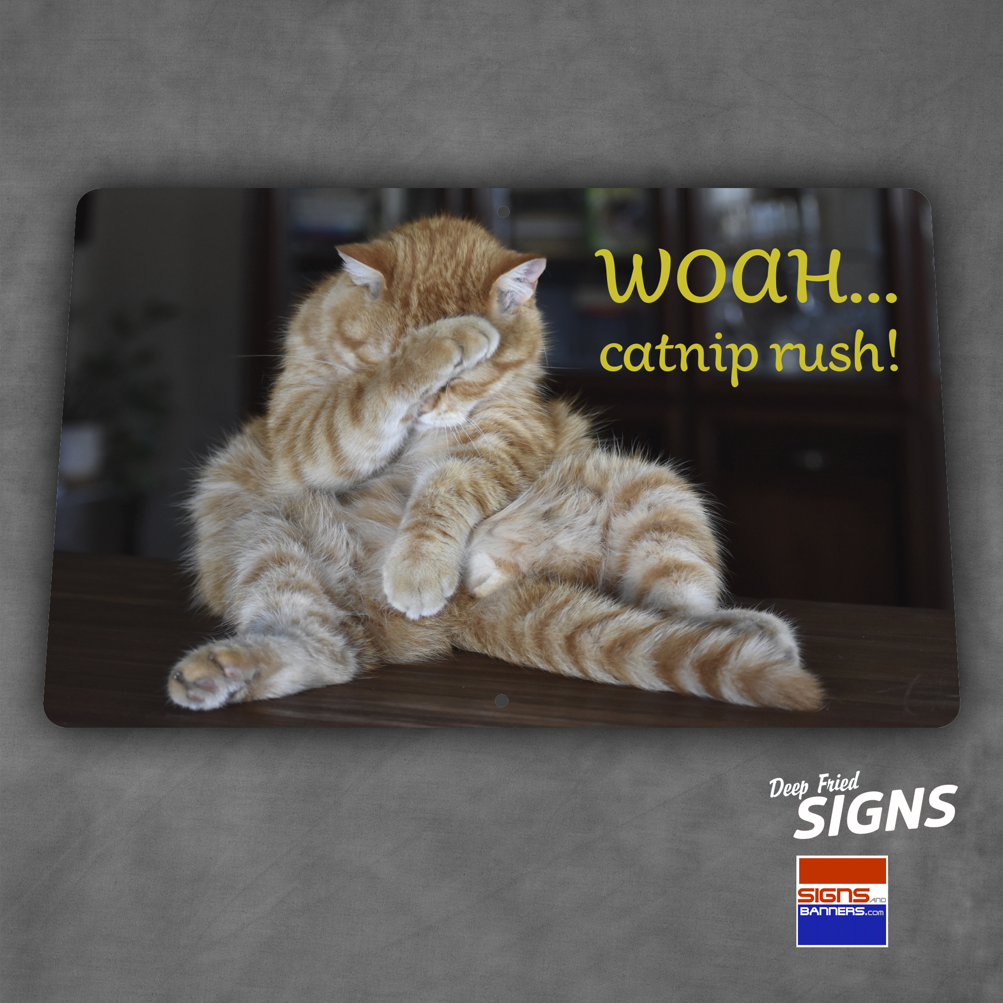 Catnip Rush